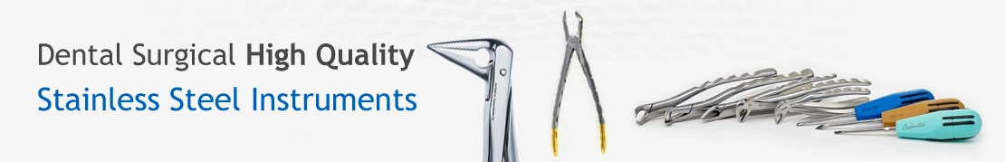 Dental Surgical Instruments and Oral Surgery Instruments