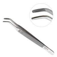 Thumbnail of American Pattern Forceps