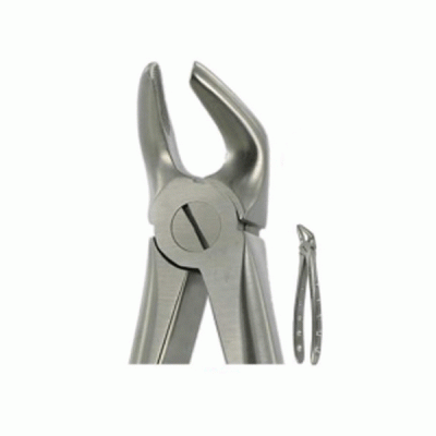 English Extracting Forceps, Lower Premolars No. 8