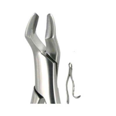 American Extraction Forceps 10h, Upper Molars